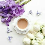 سارا - @bi.bi.z.gafary - Instagram