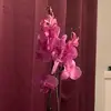 Bibi - @bibigonzalez33 - TikTok