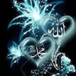 Bibi Hamid - @bibi_hameed - Instagram