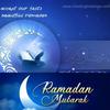 bibihamid848 - @bibihamid848 - TikTok