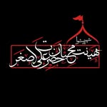 هیئت محبان حضرت علی اصغر(ع) - @bibihor_bibinor - Instagram