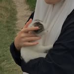 فتاة مسلمة - @bibihonim__204 - Instagram
