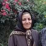 bibihosseini - @bibihosseini_ - Instagram