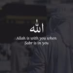 Bibi Hussein - @bibihussein5 - Instagram