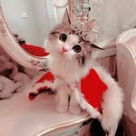 Bibi Joyce - @joycebibi9 - Instagram