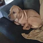 Belinda Lane - @bibilane4 - Instagram