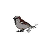 Bibi - @bibilanez - Instagram