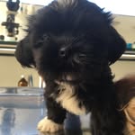 BiBi_LaNerA - @bibi_lanera - Instagram