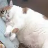 Rsrs - @bibilane3 - TikTok