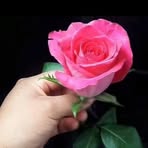 Bibi Leon - Facebook