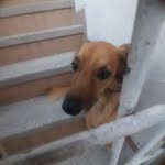 bibiana - @bibileon6892 - Instagram