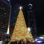 Fong Bibi - @bibileung123 - Instagram
