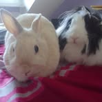 Bibi Luna - Facebook