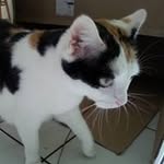 Bibi Luna - @bibiluna4051 - Instagram