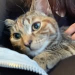 Luna :) - @bibi_lunaa - Instagram