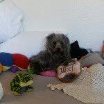 Deborah Anderson - @bibilynnesathome - Instagram