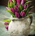 Bibiana Macias - Facebook