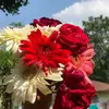 bibimarium7 - @bibimarium7 - TikTok