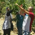 @bibi.mohammad - Instagram