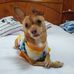 Bibi Montoya - Facebook