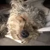bibimorales24 - @bibimorales24 - TikTok