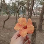 Bibi Morium - @morium.mridula - Instagram