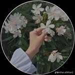 Bibi Morium - @tasmia657 - Instagram