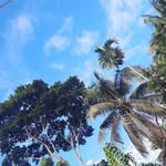Bibi Morium - @morium621 - Instagram