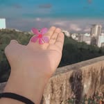 Bibi Morium Akhi - @bibimoriumakhi - Instagram