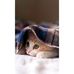 Bibi Morium Nilima - Facebook