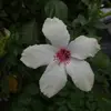 _bibiananavarro - @_bibiananavarro - TikTok