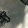 bibiparker568 - @bibiparker568 - TikTok