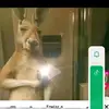 Bibi Perez - @bibi.perez08 - TikTok