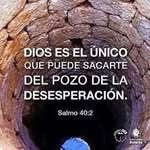 Bibi Ponce - @ponce.bibi - Instagram