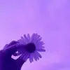 FATHIMA BIBI Razack - @fbnr786 - TikTok