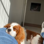 Beatrix - @bibi_richardson - Instagram