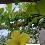 Bibi Rios - Facebook
