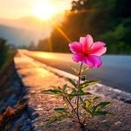 Bibi Rios - Facebook