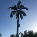 Bibi Rios - @bibi_rios2737 - Instagram