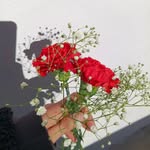 Bibiana. - @_bibi_romero - Instagram