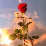 Bibi Ross - Facebook