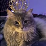 ★✿~𝕓𝕚𝕒~★✿ - @bibi_rossati_ - Instagram