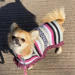 BIBI RUIZ - @la.bibi.ruiz - Instagram