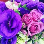 Bibiana Ruiz - @bibi_ruiz_aguirre - Instagram