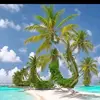 user5475004540951 - @bibisalas87 - TikTok