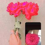 X__ Fatima__X - @bibi_fatima_satarmaker - Instagram