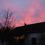 Birgit - @bibischmidt1956 - Instagram