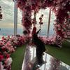 BibiShafiek - @kamie403 - TikTok