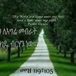Sosina Solomon - @bibi.solomon.5 - Instagram