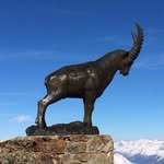 Bibi Steinbock - @bibisteinbock - Instagram